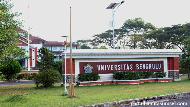 Daftar Universitas Negeri di Bengkulu Menjadi Referensi Siswa